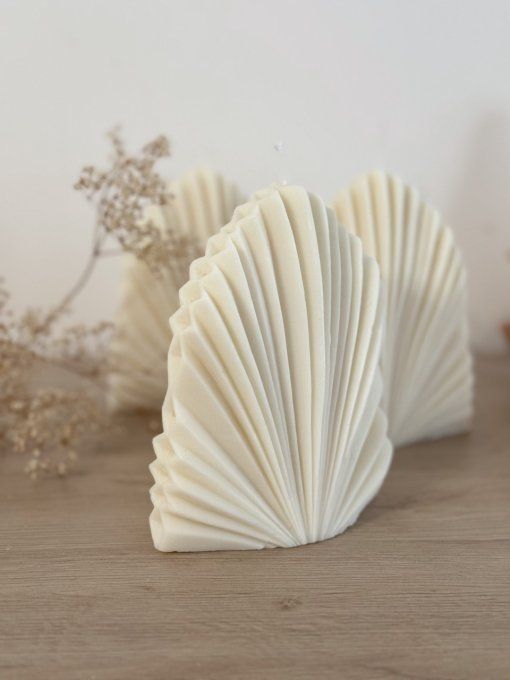 Bougie coquille