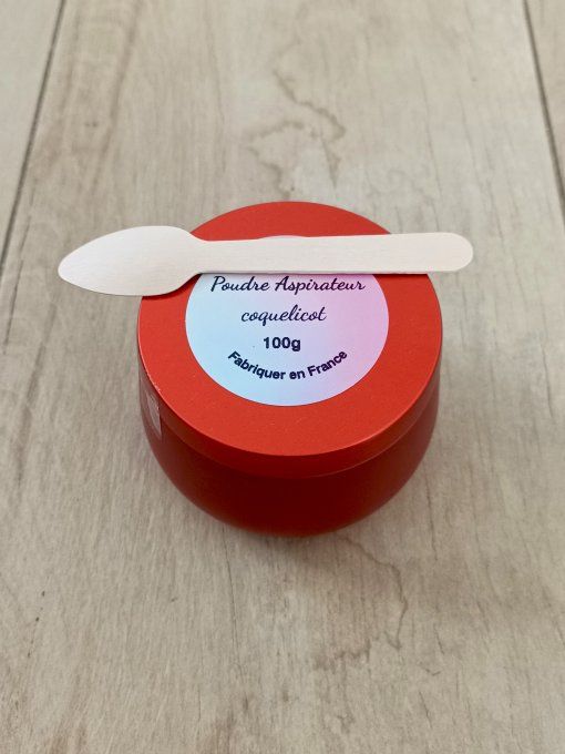 Poudre aspirateur