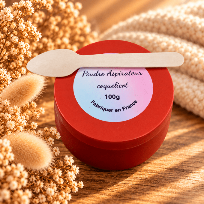 Poudre aspirateur