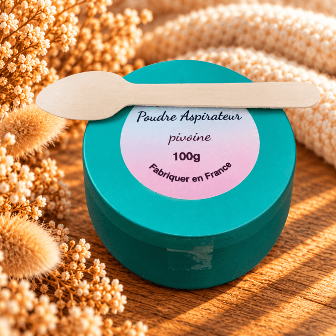 Poudre aspirateur
