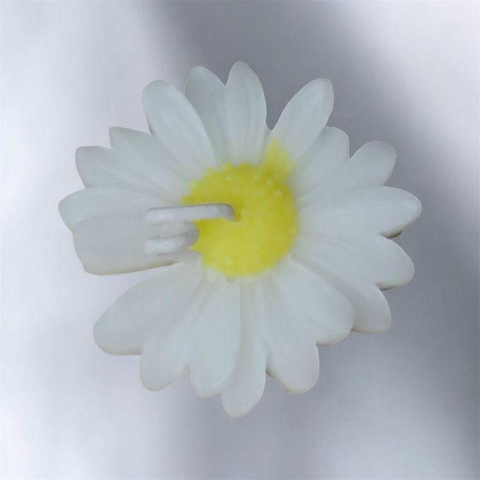Bougie marguerite 