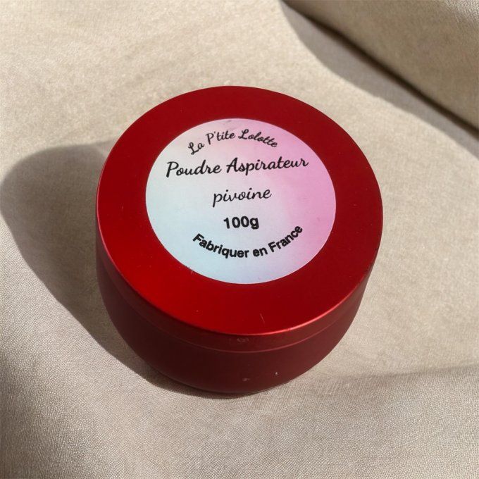 Poudre aspirateur